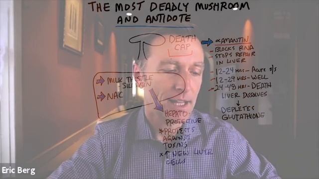 The Most Deadly Mushroom and Its Antidote смотреть онлайн