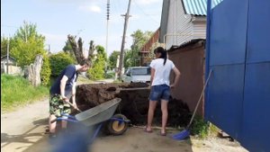 226/Снова купили чернозём,свозили в огород/Муравейник
