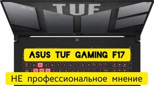Игровой ноутбук ASUS TUF Gaming A17 FA707RM/AMD Ryzen 7/GeForce RTX 3060/НЕ профессиональное мнение