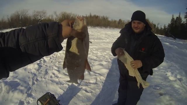 КРУПНЯК РВЕТ ЛЕСКУ, ВОРУЕТ УДОЧКИ,ВТОРАЯ ЧАСТЬ! смотреть онлайн
