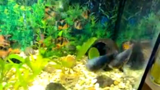 30052010024.mp4 смотреть онлайн