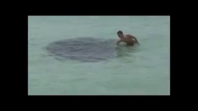 Таинственные Cущества Воды.wmv смотреть онлайн