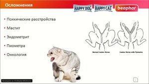Ложная беременность у животных
