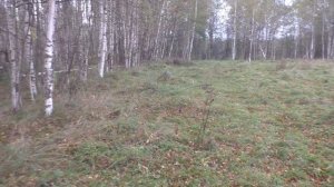 НАШЕЛ В ПОЛЕ! СТАРИННЫЕ НАХОДКИ С МЕТАЛЛОИСКАТЕЛЕМ КОП ПО СТАРИНЕ 2021!