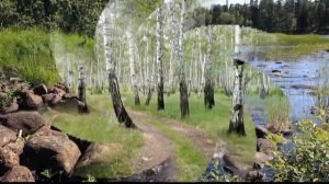 Людмила Зыкина  И светла от берез Россия