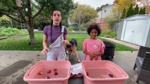 Bobbing for Apples ft. my Best Friend