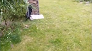 багажник на ниссан х трейл т31 с фонарями