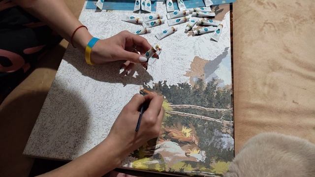 картина по номерам смотреть онлайн