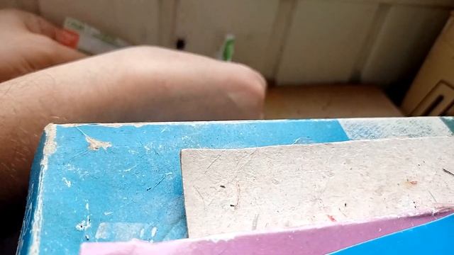 Как ловить клопа вонючку (щитник) в домашних условиях и выбросить без вони. смотреть онлайн