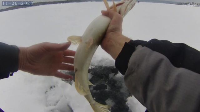 р. СЫЛВА ЩУКА/СУДАК НА СЛОМАННЫЙ БАЛАНСИР Rapala