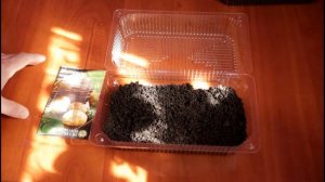 КАК ВЫРАСТИТЬ ЭЛИТНЫЙ КАРТОФЕЛЬ ИЗ СЕМЯН