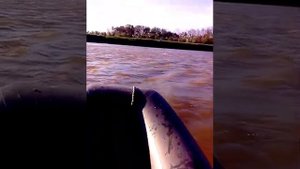 Лодка Мурена ,мотор Parsun 3.5 против течения.