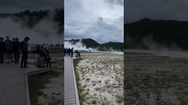 Geyser @ Yellowstone National Park #yellowstonenationalpark #explore #dog #yellowstonenps #explore