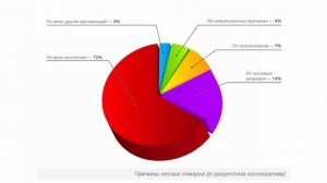 Лесные пожары, причины и виды