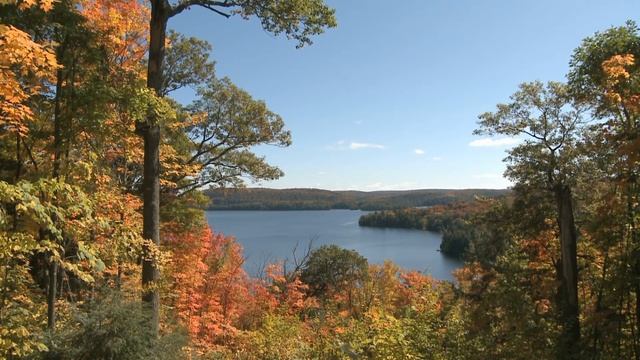 24 сентября Федорины вечерки. Федора капустница. смотреть онлайн