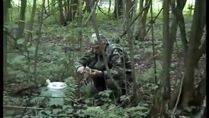 Как собирают грибы Веселки и их яйца   Как найти и где искать