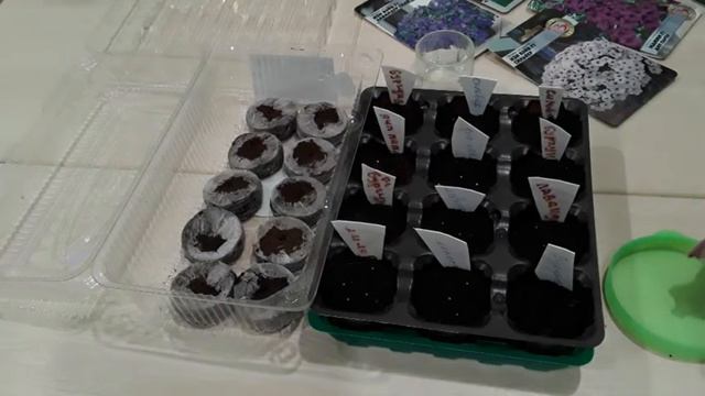 № 5 Секреты посадки Петунии смотреть онлайн