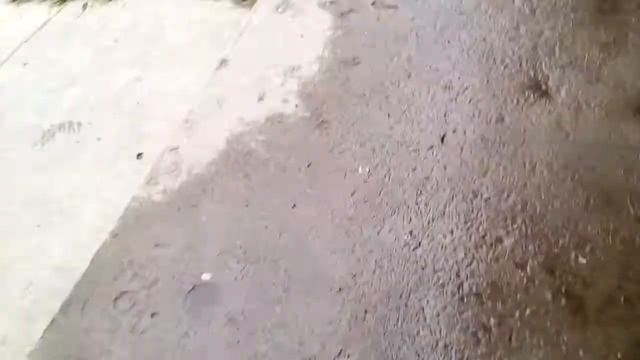 Не работает ключ Vizit BVD 311 M😥😥 смотреть онлайн