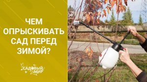 Чем опрыскивать сад перед зимой