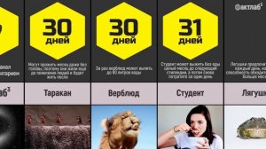 Кто Сколько проживет без Еды  Какие животные могут продержаться 1 год