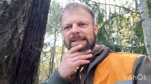 Осенний осмотр лесных колод и бортей. Выход воска с одной колоды.