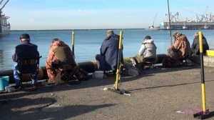 Краснодарский Край 4K. Города, Природа, Люди