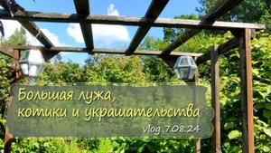 Лужа, украшательства, опора для тыкв и котики|Vlog Дача как есть 7.08.2024