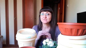 Выбор правильного горшка для комнатного растения - залог успешного выращивания и пышного цветения.
