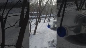 Кормушка для синиц с защитой от голубей)