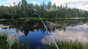 Мормо на Асфальтном