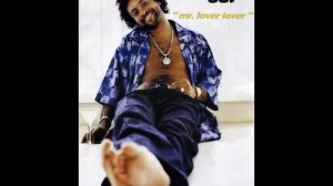 Shaggy-Mr. Bombastik