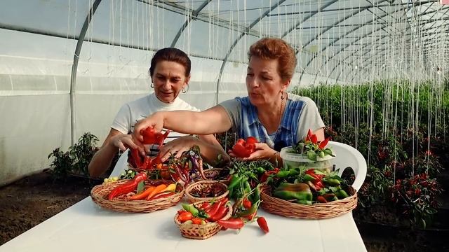 Хотите быть здоровым?  Поможет острый перец!