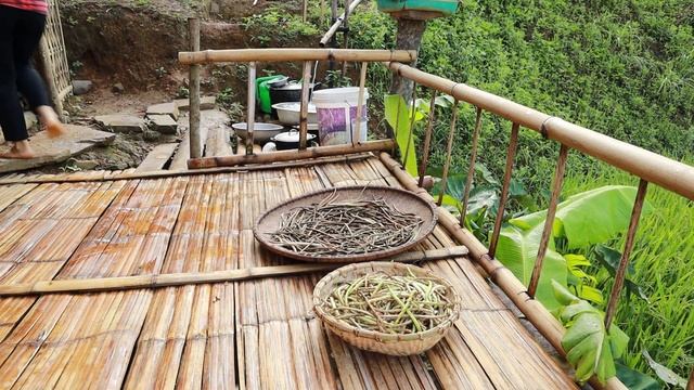 Building a new life episode 3 | harvest black beans, white beans and pick berries | Farm girl смотреть онлайн