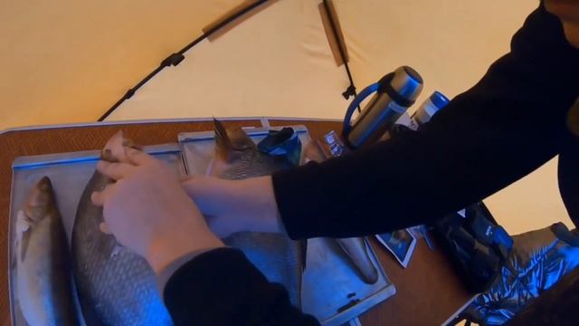 Копченый лещ/Коптим огромных лещей/Копченая рыба на берегу Волхова смотреть онлайн