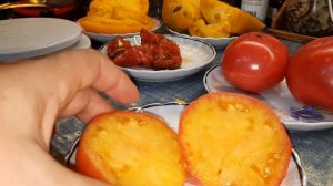 Экстренная дегустация томатов!