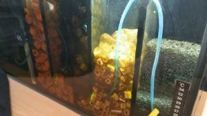 Ответы на вопросы о аквариуме со встроенным САМПом.