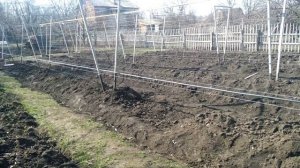 ? КОГДА И ЗАЧЕМ? Первая обработка винограда от болезней и вредителей. Схема обработки винограда.