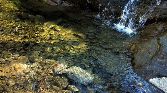 J.M. Hotteterre "Le Romain" - Prelude in D La Re 3ce Majeure смотреть онлайн