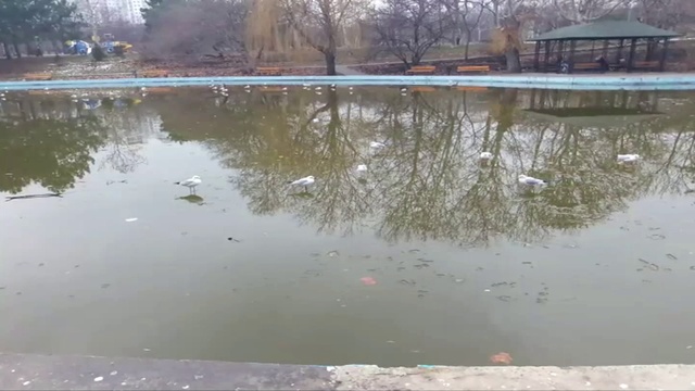 "Гулять по воде" по-одесски (26.02.19) 