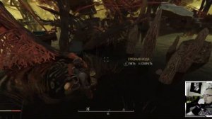 Fallout 76 где найти схему квантовой окраски, Редкие схемы Fallout76, Rare plans part2 QUANTUM ARMO