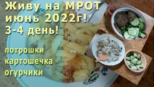 Живу на МРОТ июнь 2022г! 3-4 день! Мои любимые потрошки! Картошка на сале! Объедаюсь огурцами!
