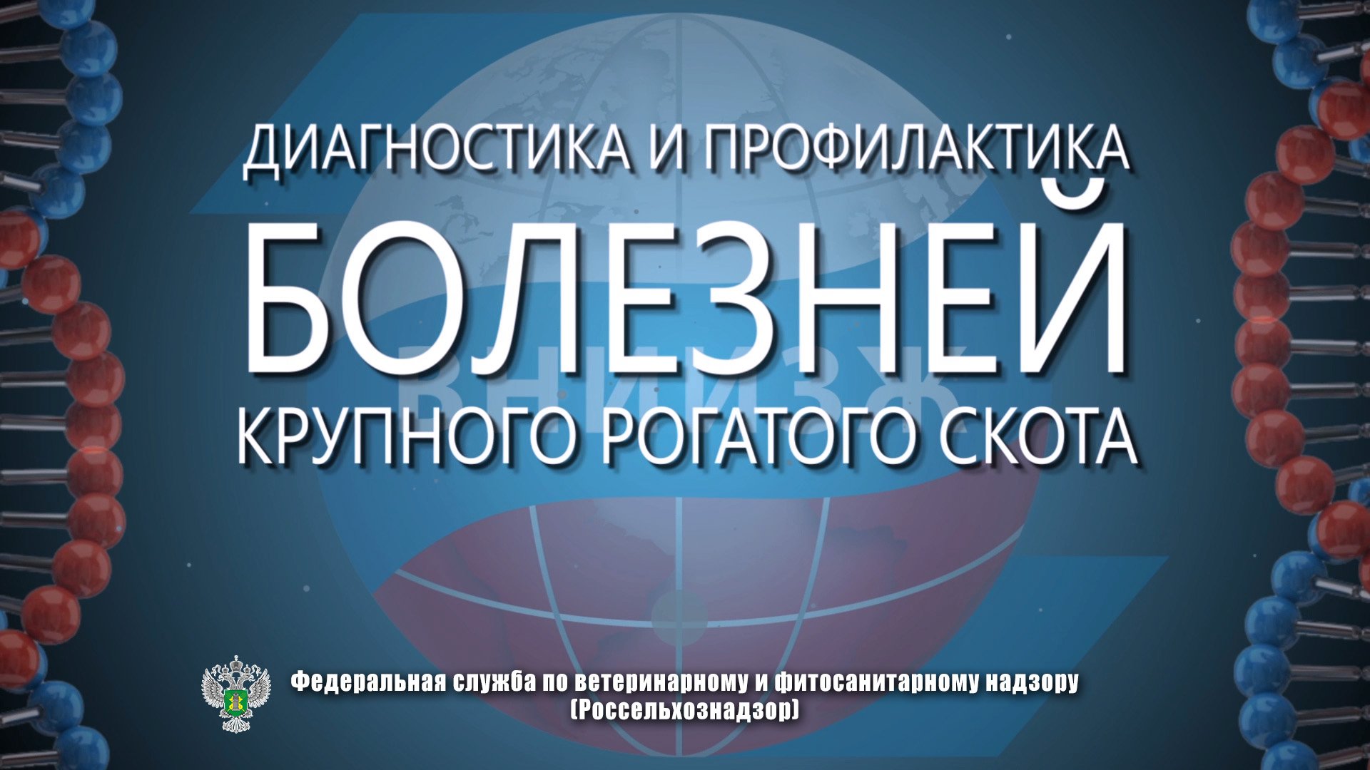 Диагностика и профилактика болезней крупного рогатого скота на базе ФГБУ «ВНИИЗЖ»