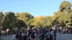 Армянский танец Кочари в Буэнос Айресе