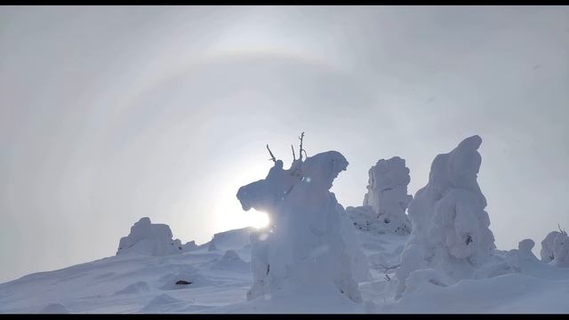 Лариса Миллер Он был студентом, театр любил и книжки #стихиовойне #современнаяпоэзия смотреть онлайн