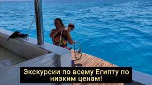 В ПОИСКАХ АКУЛЫ?ВСТРЕЧА С ДЕЛЬФИНАМИ ?морская прогулка на красном море