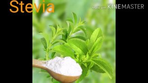 Vestige Stevia शक्कर को खाने में कैसे कम करे ?