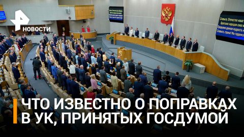 Пакет поправок в УК РФ о "военном времени", принятый Госдумой / РЕН Новости