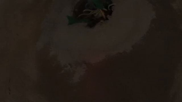 Монтаж электропроводки на кухне своими руками (Этап2)