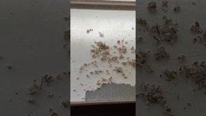 Реконструкция пластиковых подоконников наливным акрилом