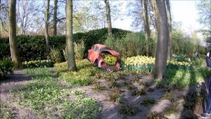 Keukenhof-Garden of Europe. Zahrada Evropy. Сад Европы. Amsterdam